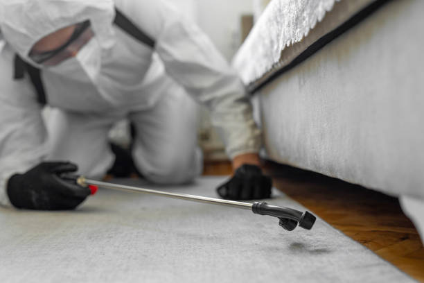 Professional Emergency Pest Control technician working in Yellow Medicine County County, MN